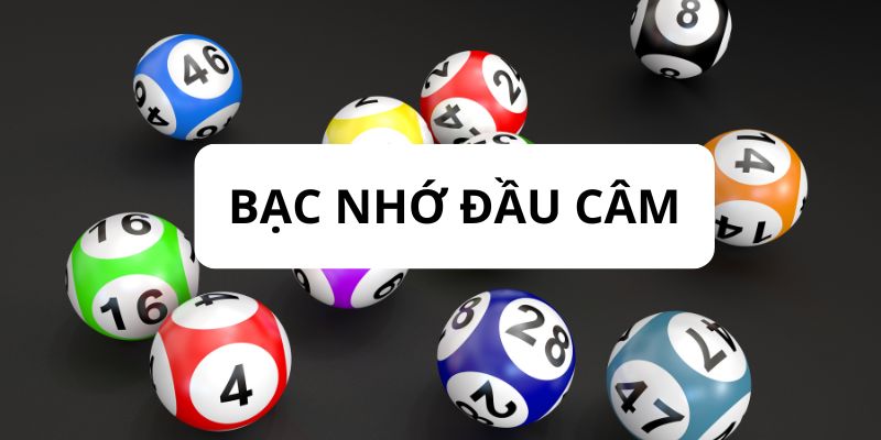 Bạc nhớ đầu câm - Khái niệm và cách áp dụng đảm bảo hiệu quả