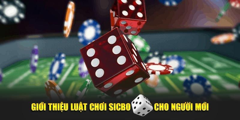 Giới thiệu tổng quan về luật chơi sicbo Kubet