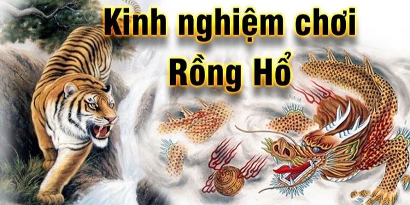 Kinh nghiệm chơi Rồng Hổ